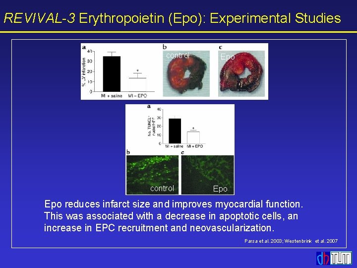 REVIVAL-3 Erythropoietin (Epo): Experimental Studies control Epo Epo reduces infarct size and improves myocardial