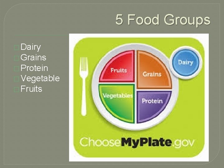 5 Food Groups � Dairy � Grains � Protein � Vegetable � Fruits 
