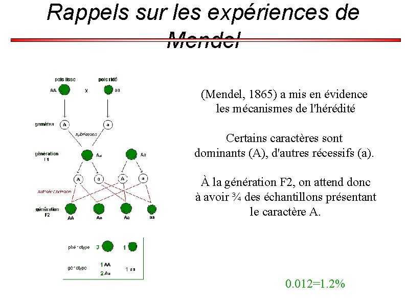 Rappels sur les expériences de Mendel (Mendel, 1865) a mis en évidence les mécanismes