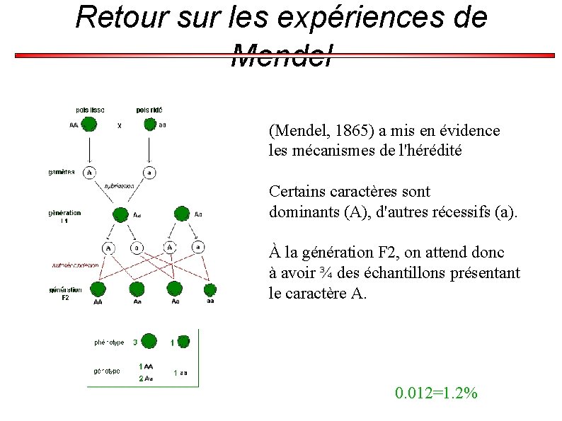 Retour sur les expériences de Mendel (Mendel, 1865) a mis en évidence les mécanismes