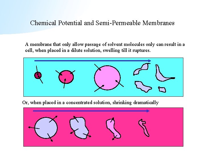 Chemical Potential and Semi-Permeable Membranes A membrane that only allow passage of solvent molecules