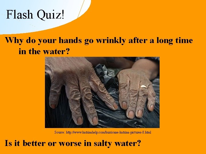 Flash Quiz! Why do your hands go wrinkly after a long time in the