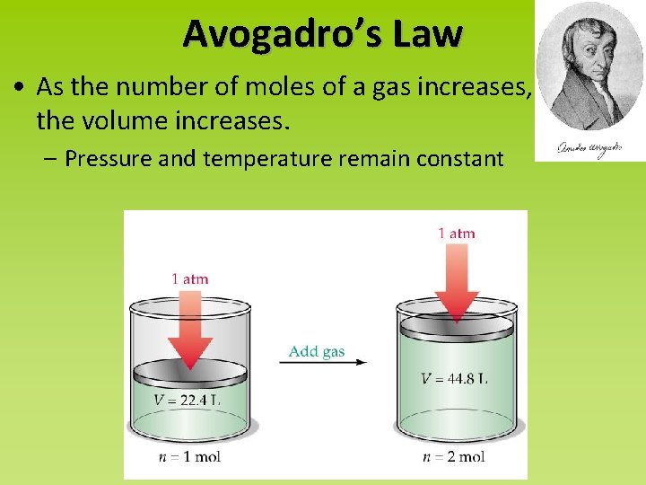 Avogadro’s Law • As the number of moles of a gas increases, the volume