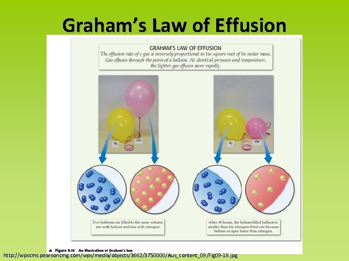 Graham’s Law of Effusion http: //wpscms. pearsoncmg. com/wps/media/objects/3662/3750000/Aus_content_09/Fig 09 -18. jpg 