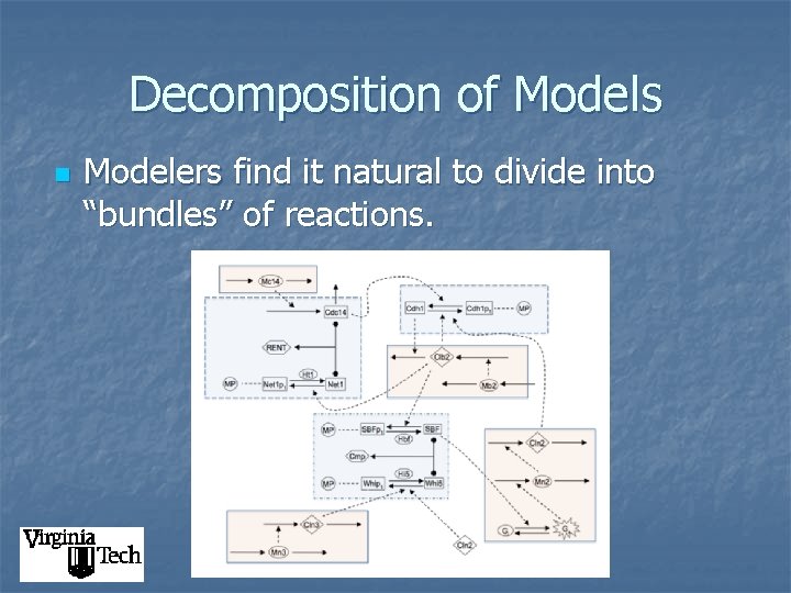 Decomposition of Models n Modelers find it natural to divide into “bundles” of reactions.