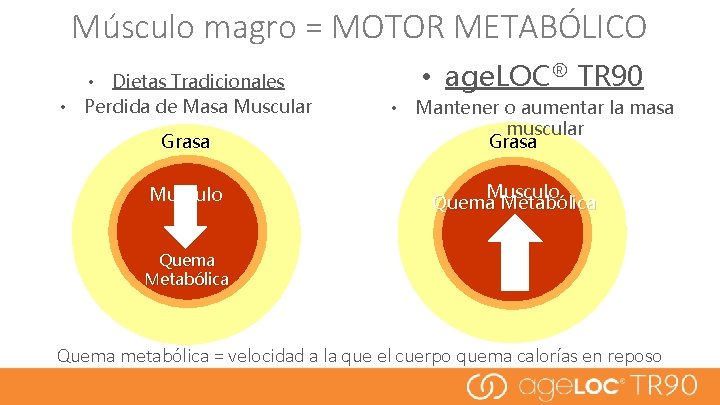 Músculo magro = MOTOR METABÓLICO • Dietas Tradicionales • Perdida de Masa Muscular Grasa