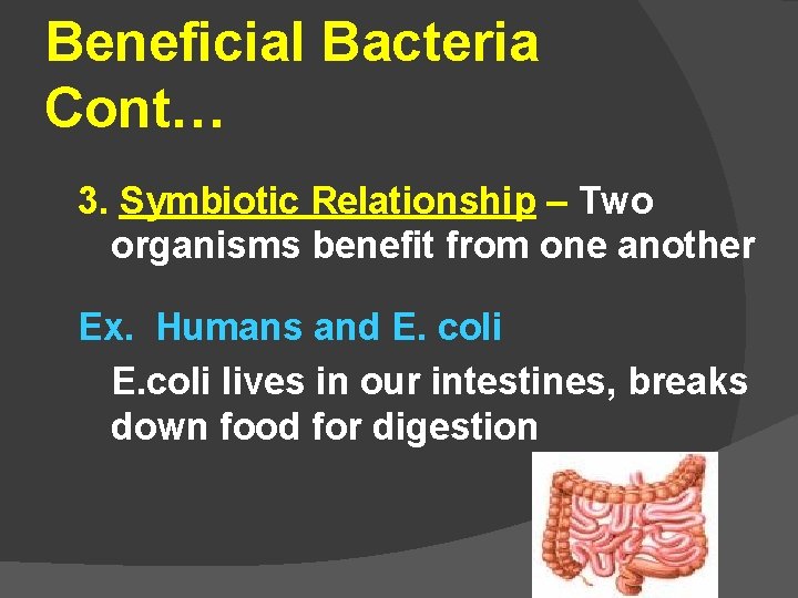 Beneficial Bacteria Cont… 3. Symbiotic Relationship – Two organisms benefit from one another Ex.