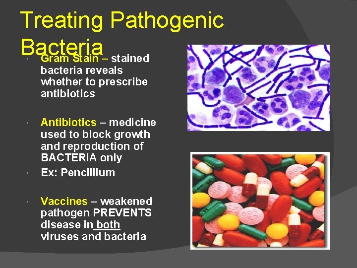 Treating Pathogenic Bacteria Gram Stain – stained bacteria reveals whether to prescribe antibiotics Antibiotics
