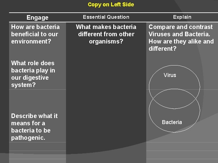 Copy on Left Side Engage How are bacteria beneficial to our environment? What role