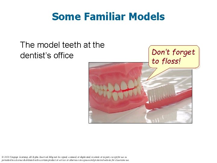 Some Familiar Models The model teeth at the dentist’s office © 2013 Cengage Learning.