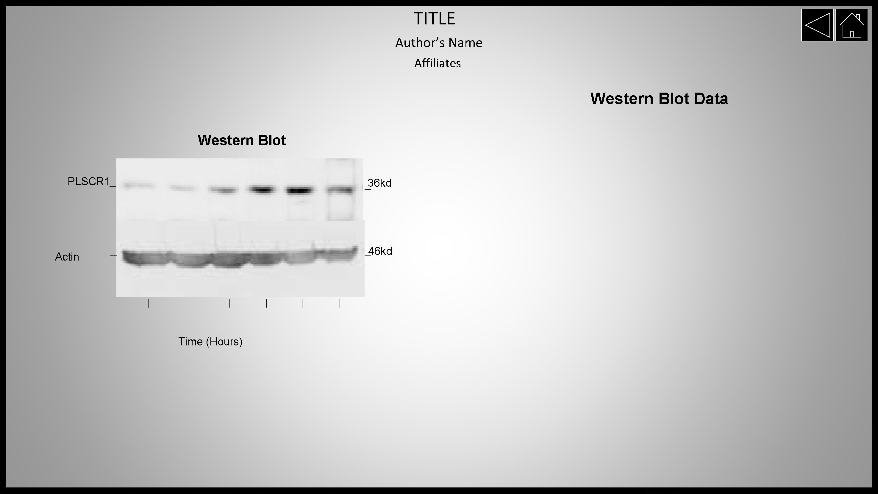 TITLE Author’s Name Affiliates Western Blot Data Western Blot PLSCR 1 36 kd 46