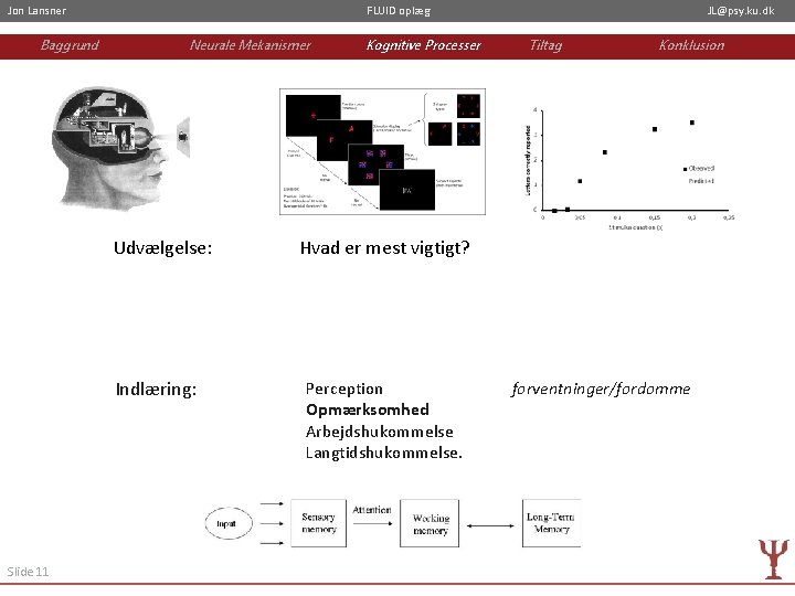 Jon Lansner Baggrund FLUID oplæg Neurale Mekanismer Udvælgelse: Indlæring: Slide 11 Kognitive Processer JL@psy.