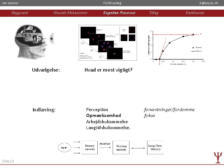 Jon Lansner Baggrund FLUID oplæg Neurale Mekanismer Udvælgelse: Indlæring: Slide 12 Kognitive Processer JL@psy.