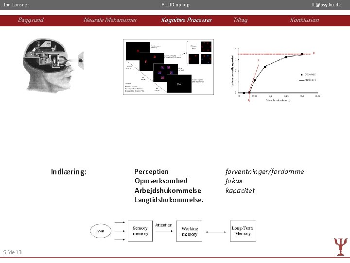 Jon Lansner Baggrund FLUID oplæg Neurale Mekanismer Indlæring: Slide 13 Kognitive Processer Perception Opmærksomhed