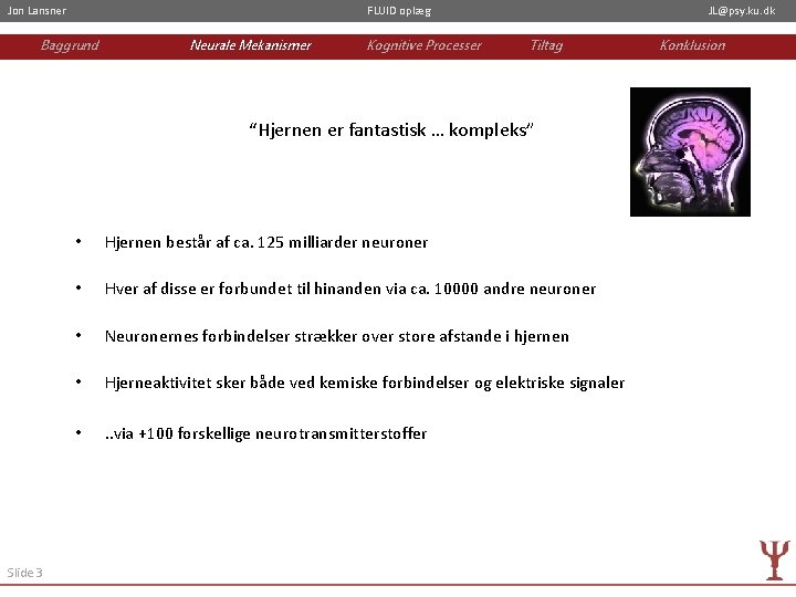 Jon Lansner FLUID oplæg Baggrund Neurale Mekanismer Kognitive Processer JL@psy. ku. dk Tiltag “Hjernen