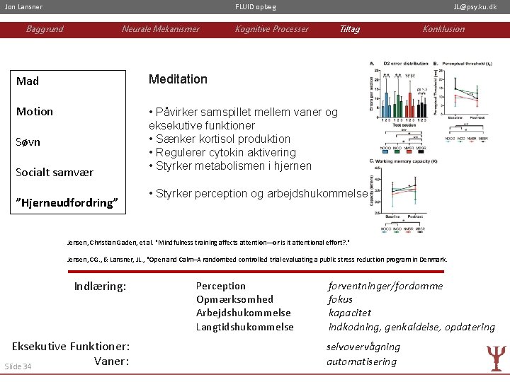 Jon Lansner FLUID oplæg Baggrund Neurale Mekanismer JL@psy. ku. dk Kognitive Processer Tiltag Mad