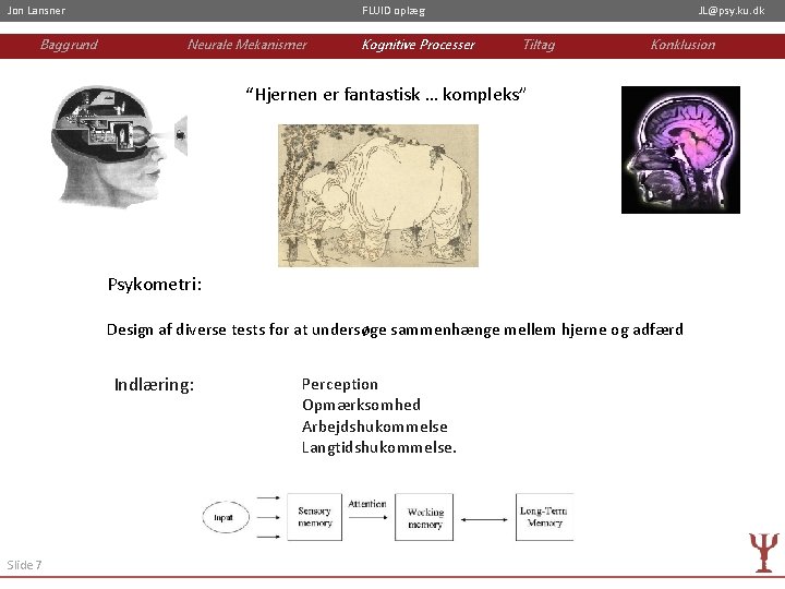 Jon Lansner Baggrund FLUID oplæg Neurale Mekanismer Kognitive Processer JL@psy. ku. dk Tiltag Konklusion