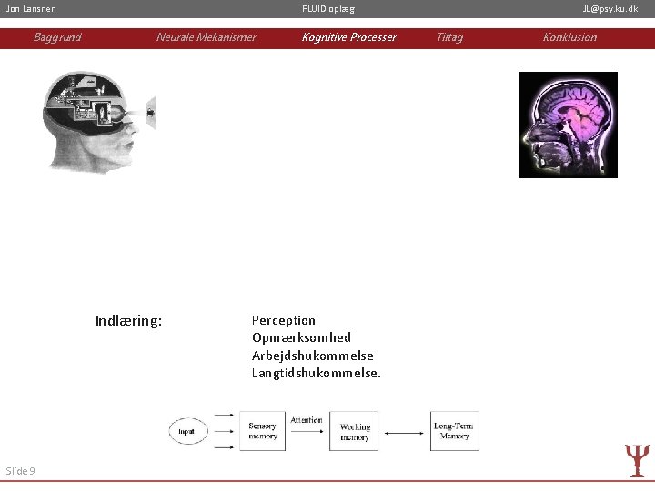 Jon Lansner Baggrund FLUID oplæg Neurale Mekanismer Indlæring: Slide 9 Kognitive Processer Perception Opmærksomhed