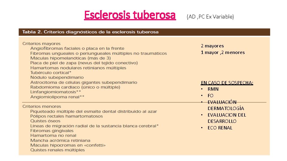 Esclerosis tuberosa (AD , PC Ex Variable) 2 mayores 1 mayor , 2 menores