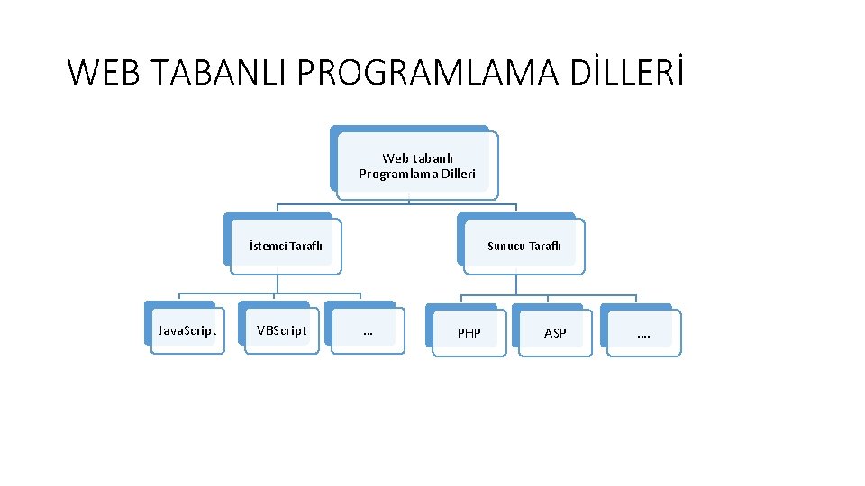 WEB TABANLI PROGRAMLAMA DİLLERİ Web tabanlı Programlama Dilleri İstemci Taraflı Java. Script VBScript Sunucu