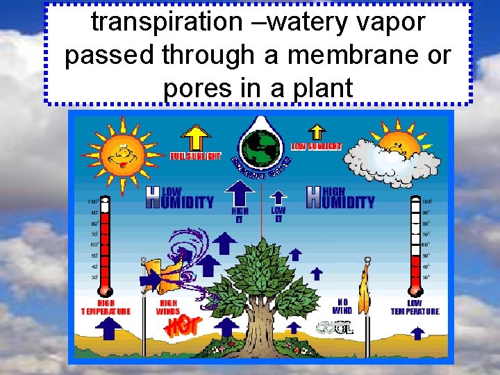 transpiration –watery vapor passed through a membrane or pores in a plant 