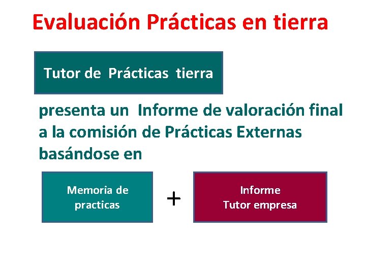 Evaluación Prácticas en tierra Tutor de Prácticas tierra presenta un Informe de valoración final