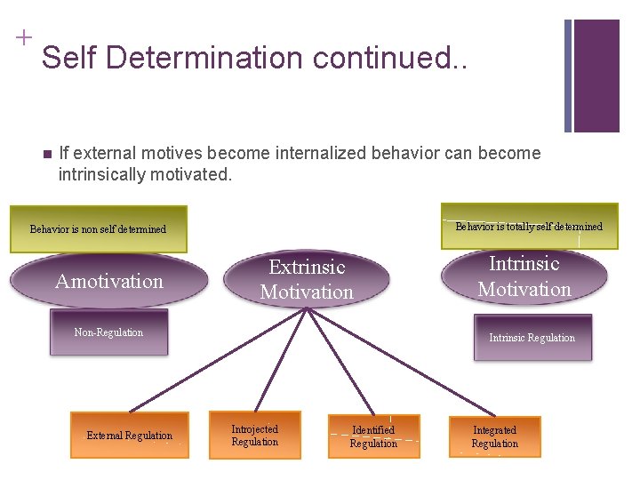 + Self Determination continued. . n If external motives become internalized behavior can become