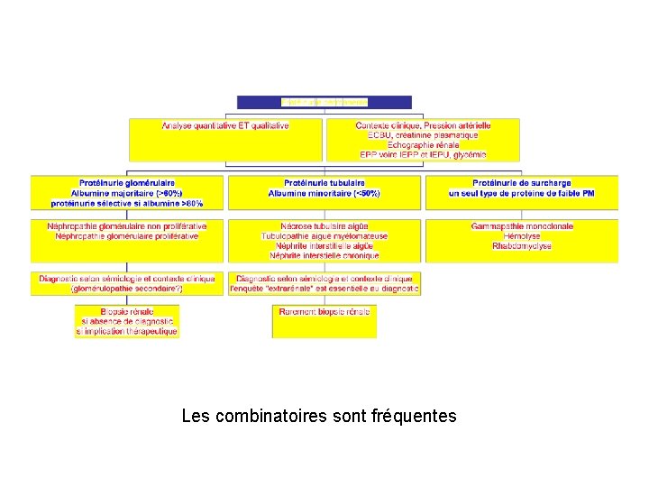 Les combinatoires sont fréquentes 