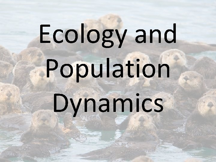 Ecology and Population Dynamics 