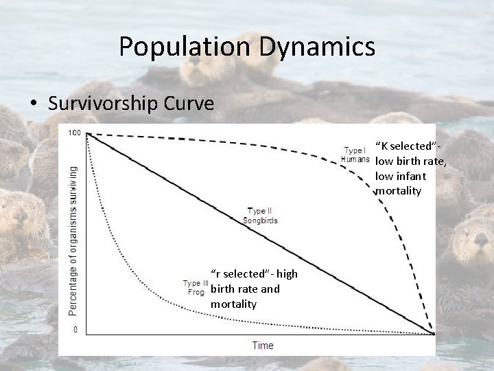 Population Dynamics • Survivorship Curve “K selected”low birth rate, low infant mortality “r selected”-