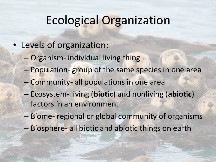 Ecological Organization • Levels of organization: – Organism- individual living thing – Population- group
