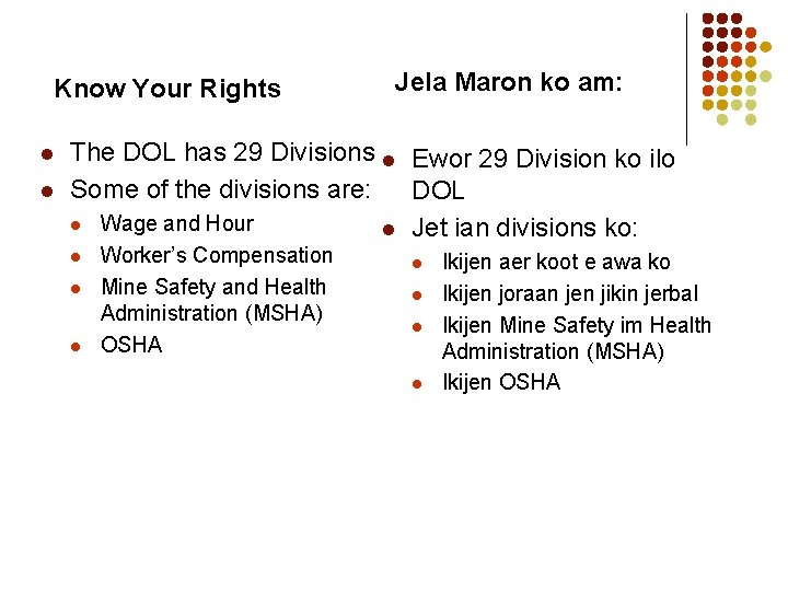 Know Your Rights l l Jela Maron ko am: The DOL has 29 Divisions