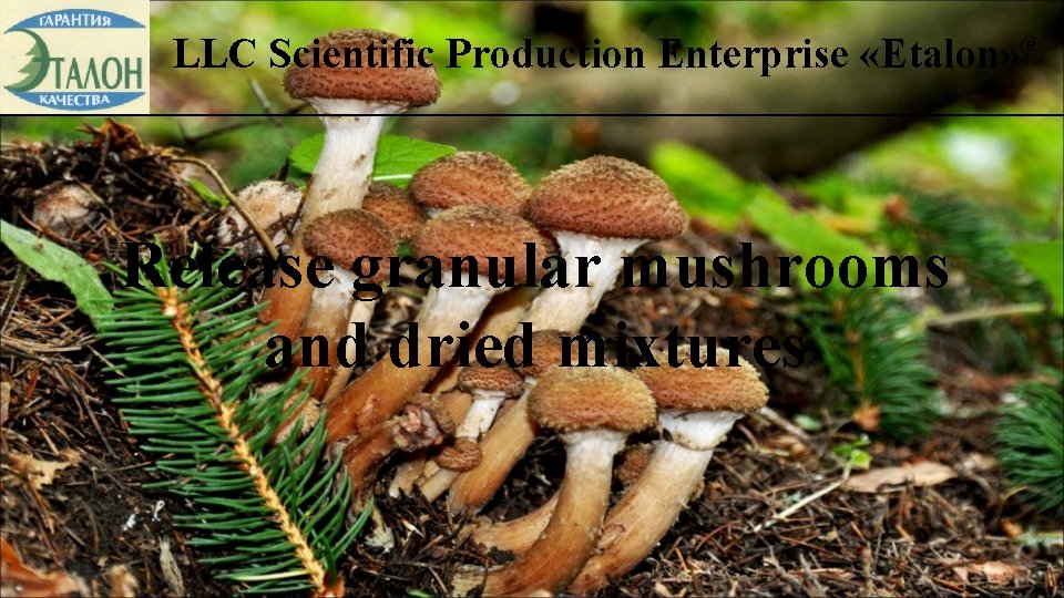 LLC Scientific Production Enterprise «Etalon» ® Release granular mushrooms and dried mixtures 