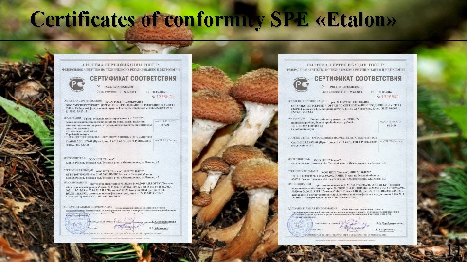 Certificates of conformity SPE «Etalon» 11 