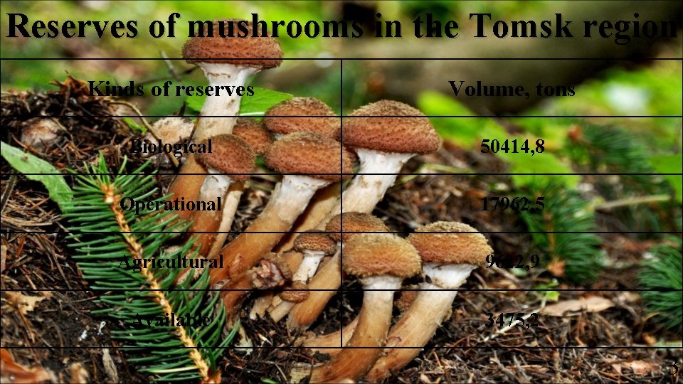 Reserves of mushrooms in the Tomsk region Kinds of reserves Volume, tons Biological 50414,