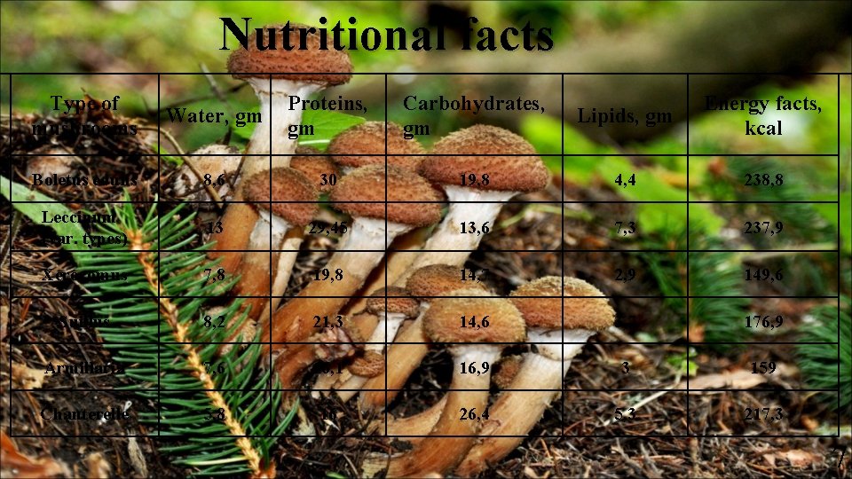 Nutritional facts Type of mushrooms Water, gm Proteins, gm Carbohydrates, gm Lipids, gm Energy