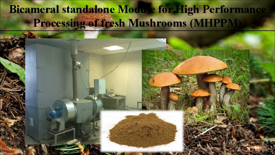 Bicameral standalone Module for High Performance Processing of fresh Mushrooms (MHPPM) 9 