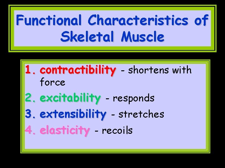 Functional Characteristics of Skeletal Muscle 1. contractibility - shortens with force 2. excitability -