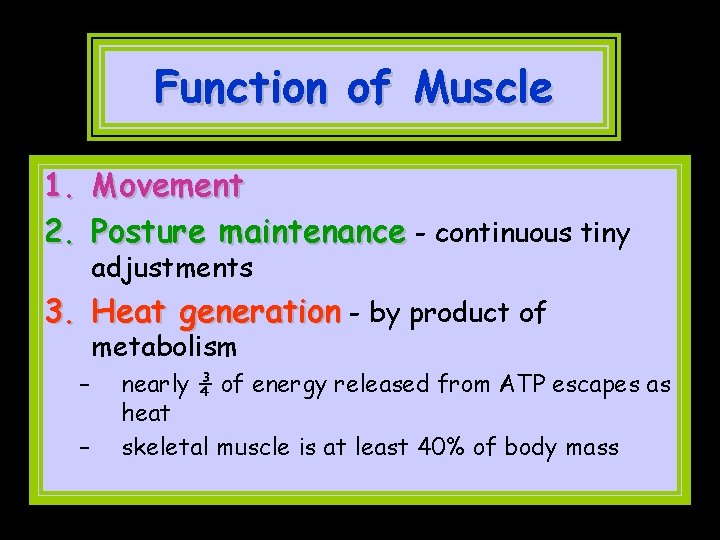 Function of Muscle 1. Movement 2. Posture maintenance - continuous tiny adjustments 3. Heat