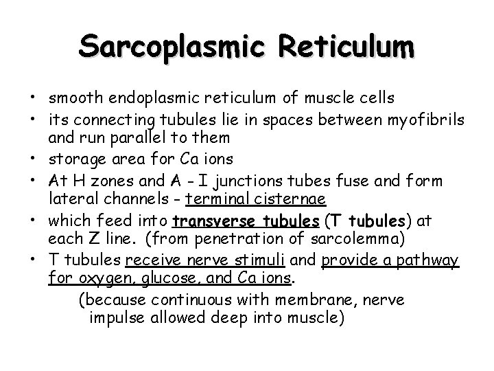Sarcoplasmic Reticulum • smooth endoplasmic reticulum of muscle cells • its connecting tubules lie