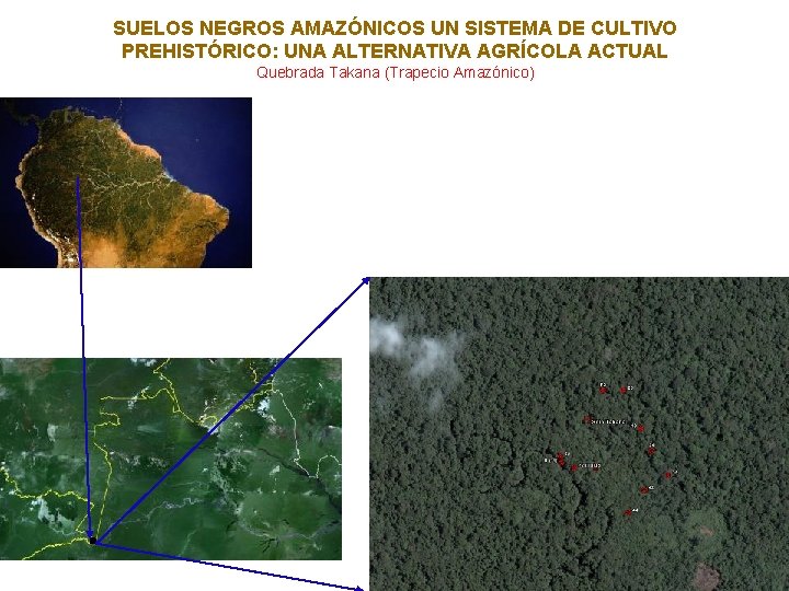 SUELOS NEGROS AMAZÓNICOS UN SISTEMA DE CULTIVO PREHISTÓRICO: UNA ALTERNATIVA AGRÍCOLA ACTUAL Quebrada Takana