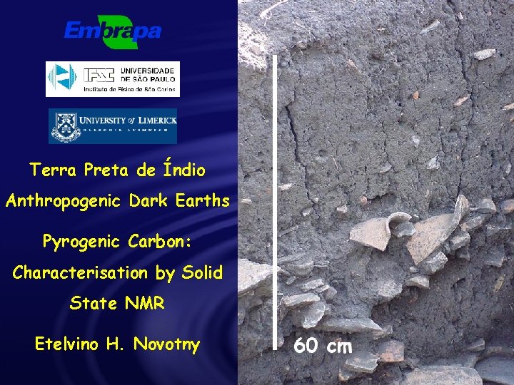 Terra Preta de Índio Anthropogenic Dark Earths Pyrogenic Carbon: Characterisation by Solid State NMR