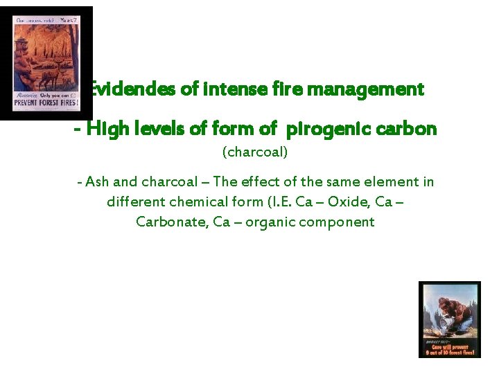 Evidendes of intense fire management - High levels of form of pirogenic carbon (charcoal)