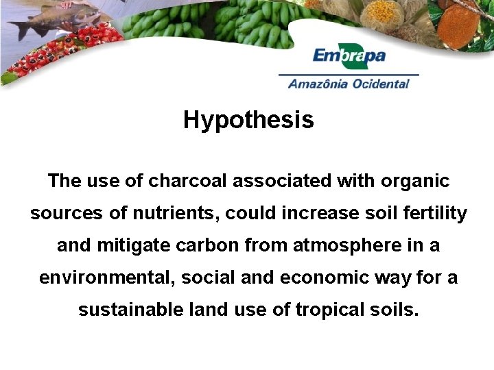 Hypothesis The use of charcoal associated with organic sources of nutrients, could increase soil