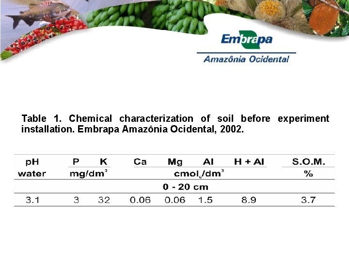 Table 1. Chemical characterization of soil before experiment installation. Embrapa Amazônia Ocidental, 2002. 