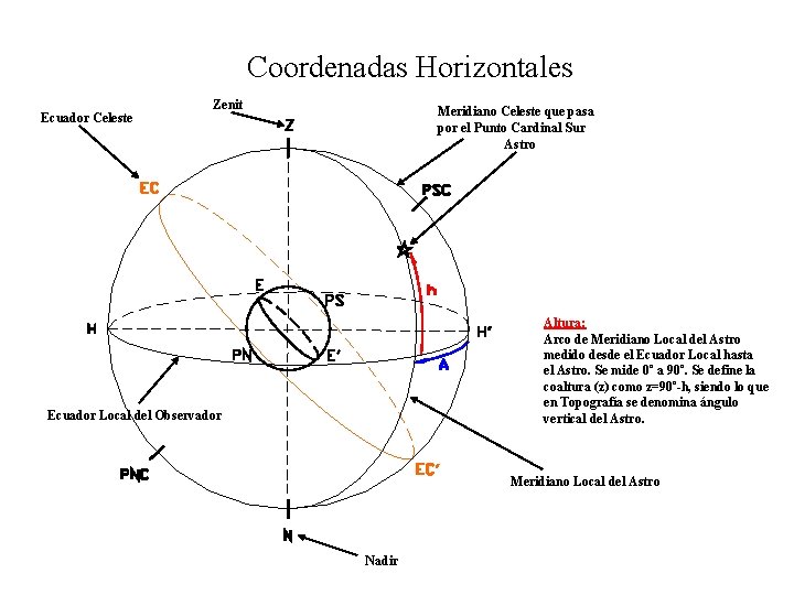 Coordenadas Horizontales Ecuador Celeste Zenit Meridiano Celeste que pasa por el Punto Cardinal Sur