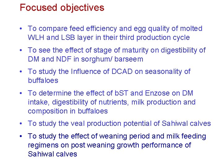 Focused objectives • To compare feed efficiency and egg quality of molted WLH and