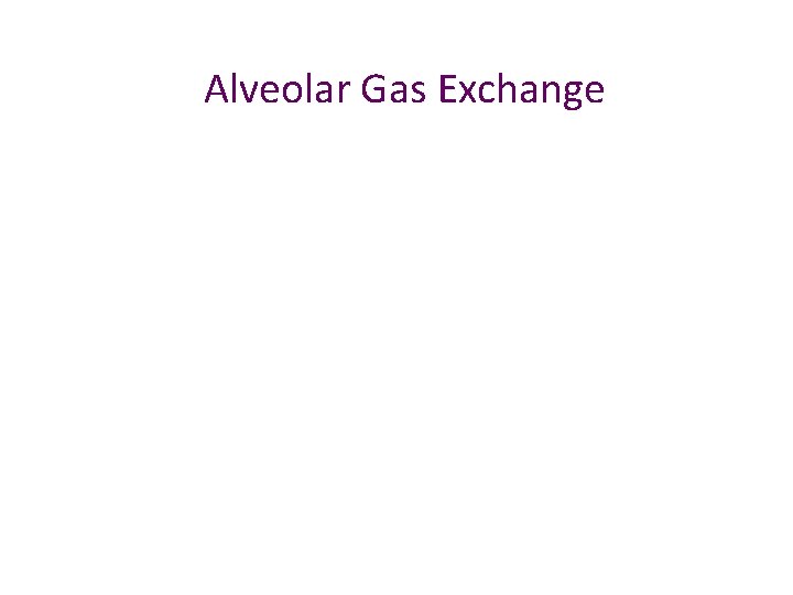 Alveolar Gas Exchange 