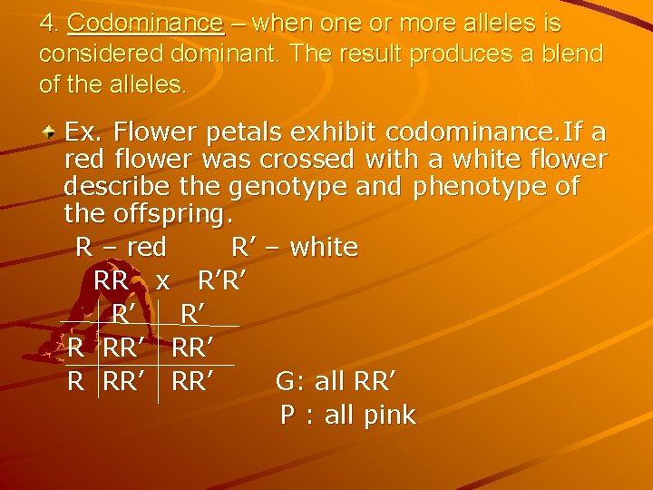 4. Codominance – when one or more alleles is considered dominant. The result produces