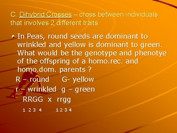 C. Dihybrid Crosses – cross between individuals that involves 2 different traits. In Peas,